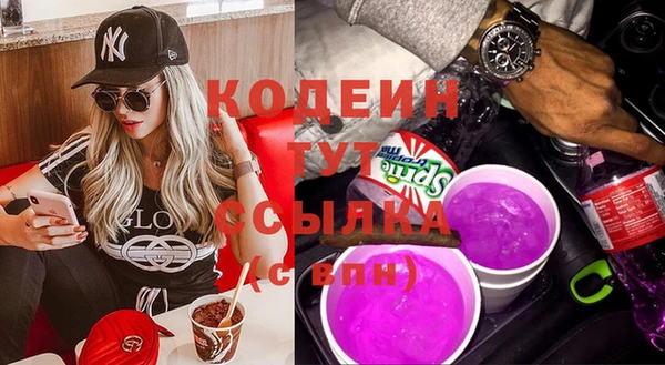 индика Богородск