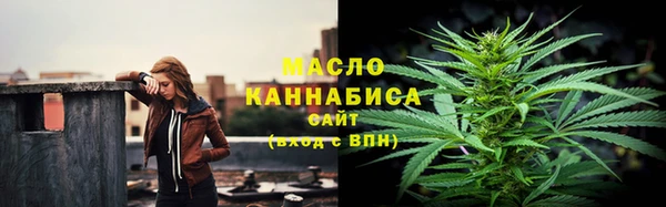 индика Богородск