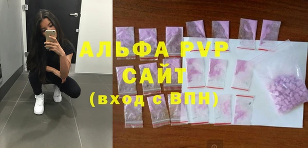 индика Богородск
