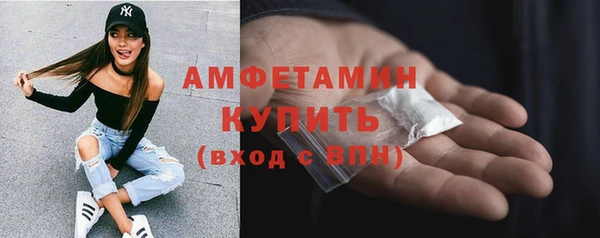 индика Богородск