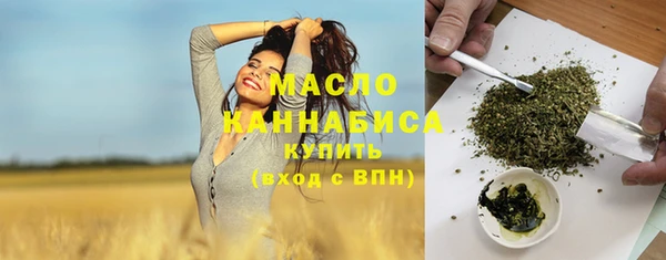 индика Богородск