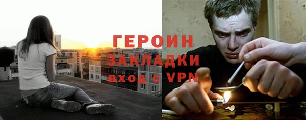 индика Богородск