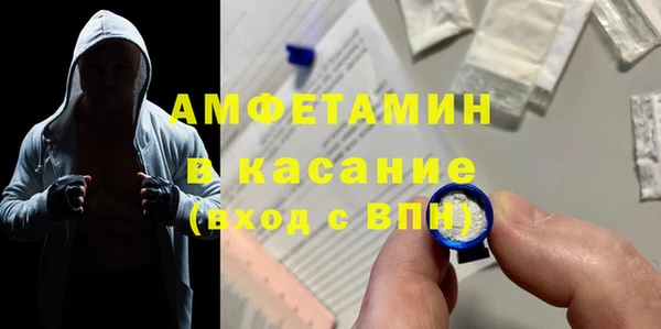 индика Богородск