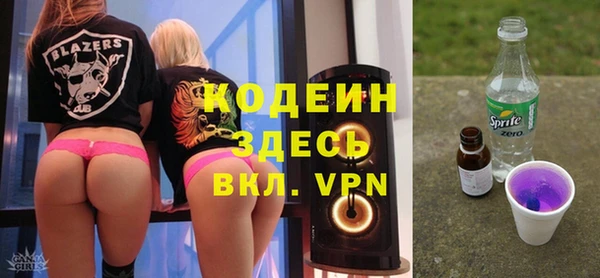 индика Богородск