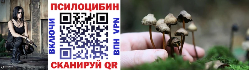 Псилоцибиновые грибы Psilocybine cubensis  Когалым 